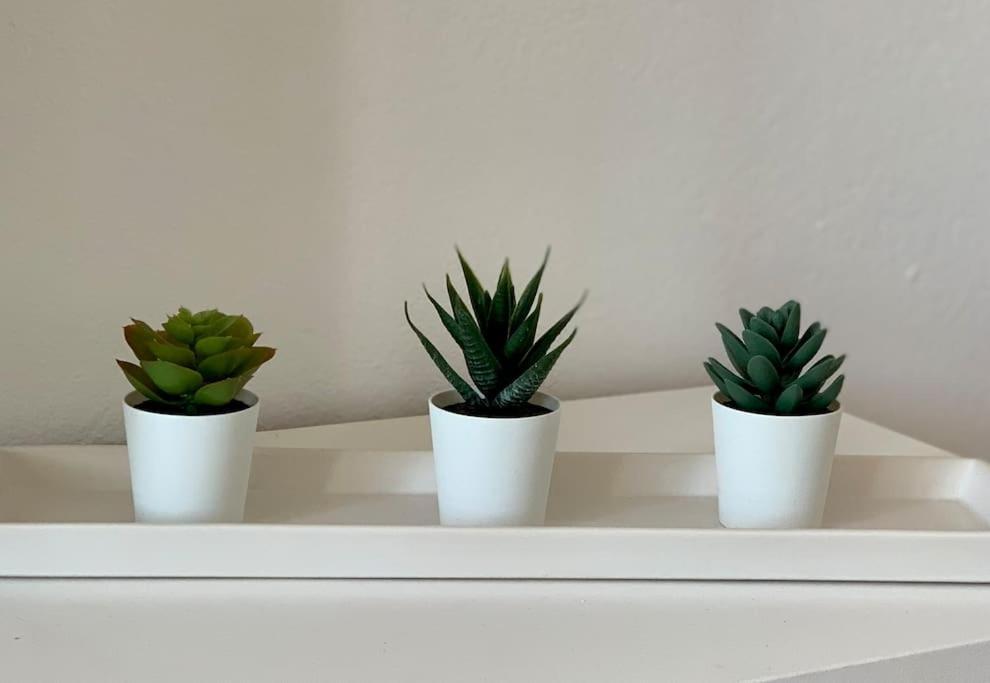 אל גולפו Salitre Apartamento מראה חיצוני תמונה